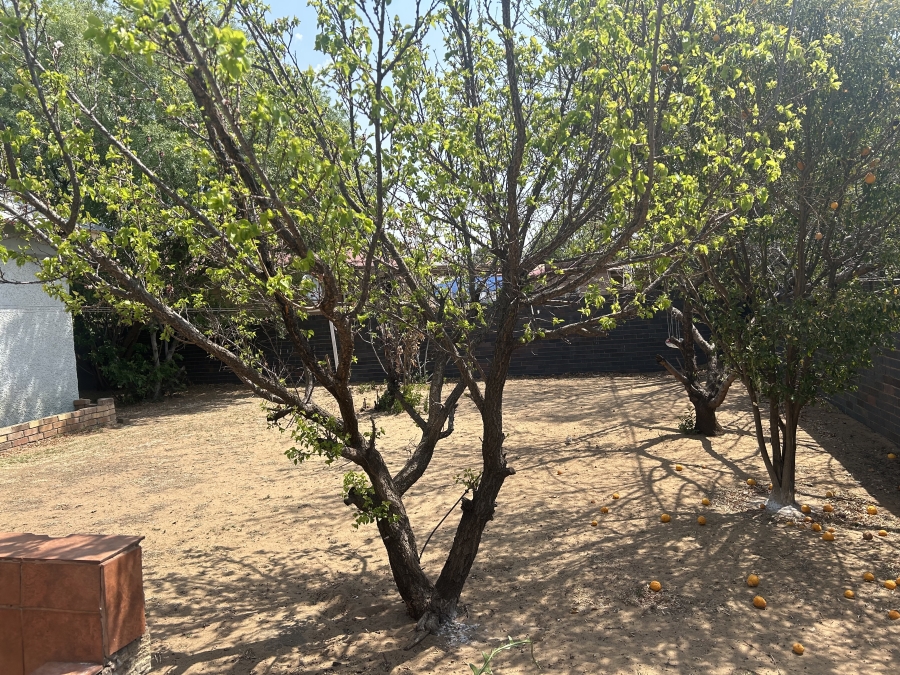 3 Bedroom Property for Sale in Vierfontein Free State
